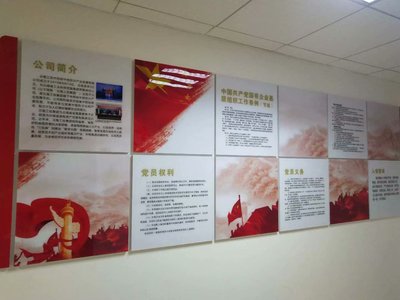 云南中药材公司-党建文化墙